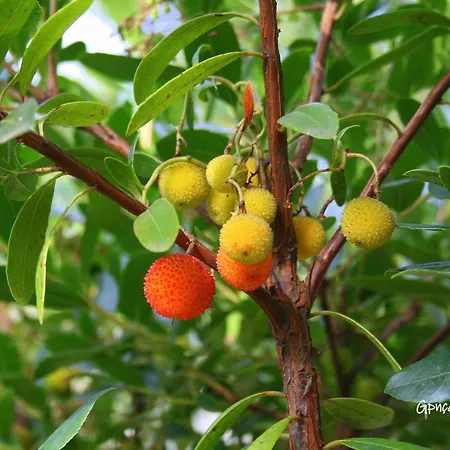 Holiday home Casa Da Rocha