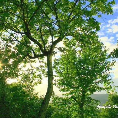 Holiday home Casa Da Rocha *