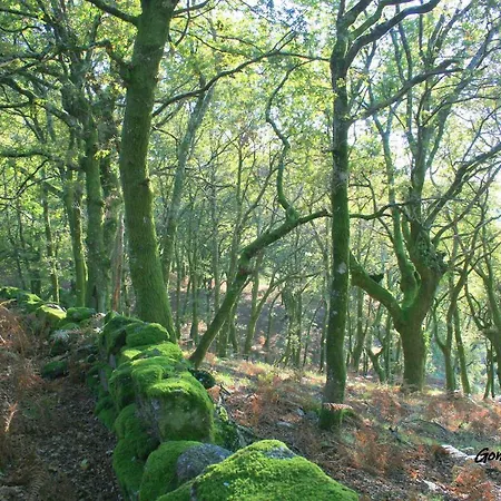 Casa Da Rocha * Caldelas