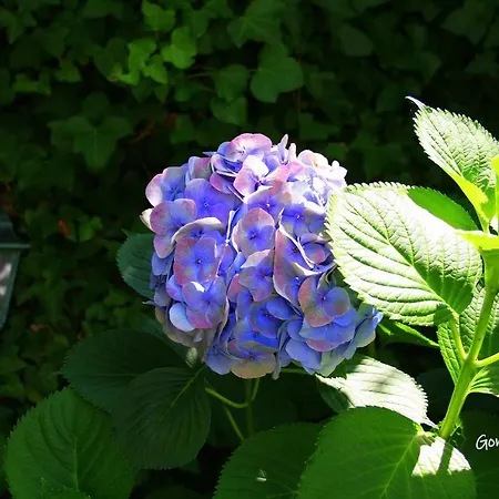 Holiday home Casa Da Rocha *