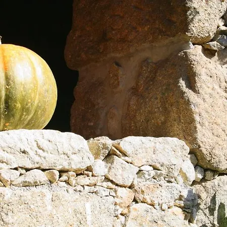 Holiday home Casa Da Rocha Caldelas