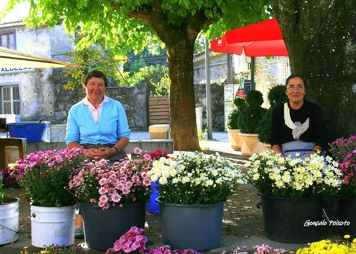 Prázdninový dům Casa Da Rocha *