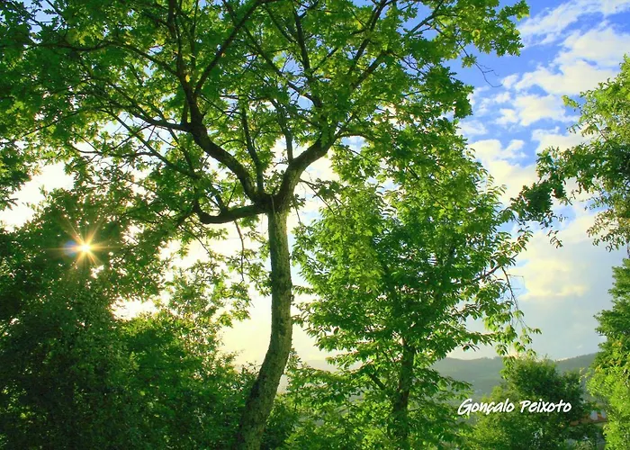 Prázdninový dům Casa Da Rocha *