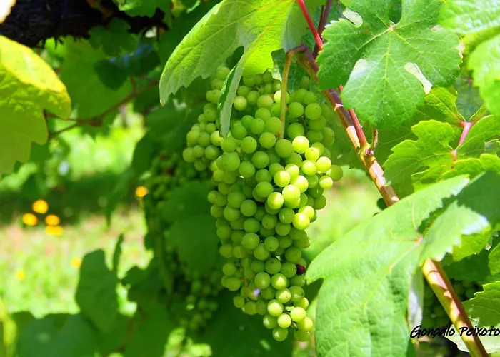 Casa Da Rocha Prázdninový dům *