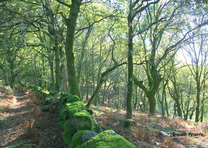 Casa Da Rocha * 칼데라스