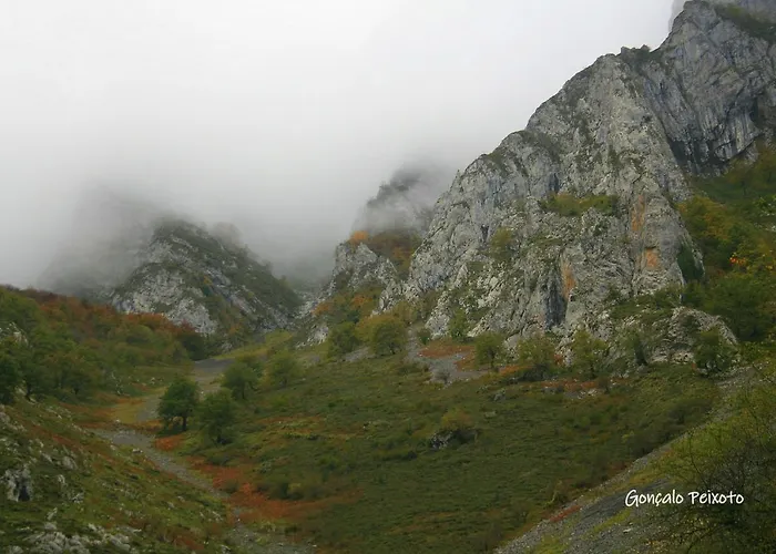 Casa Da Rocha 펜션 칼데라스
