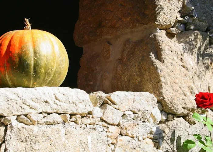 펜션 Casa Da Rocha 칼데라스